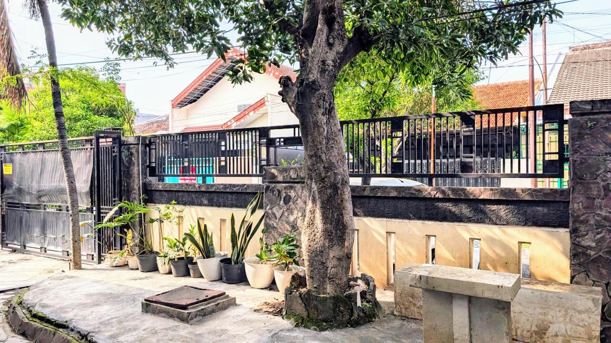 Homey Wisma tamu